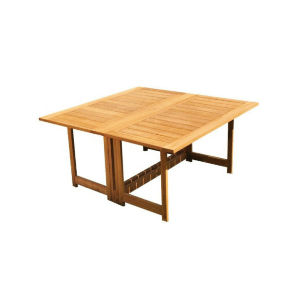 BUTTERFLY FOLDING TABLE